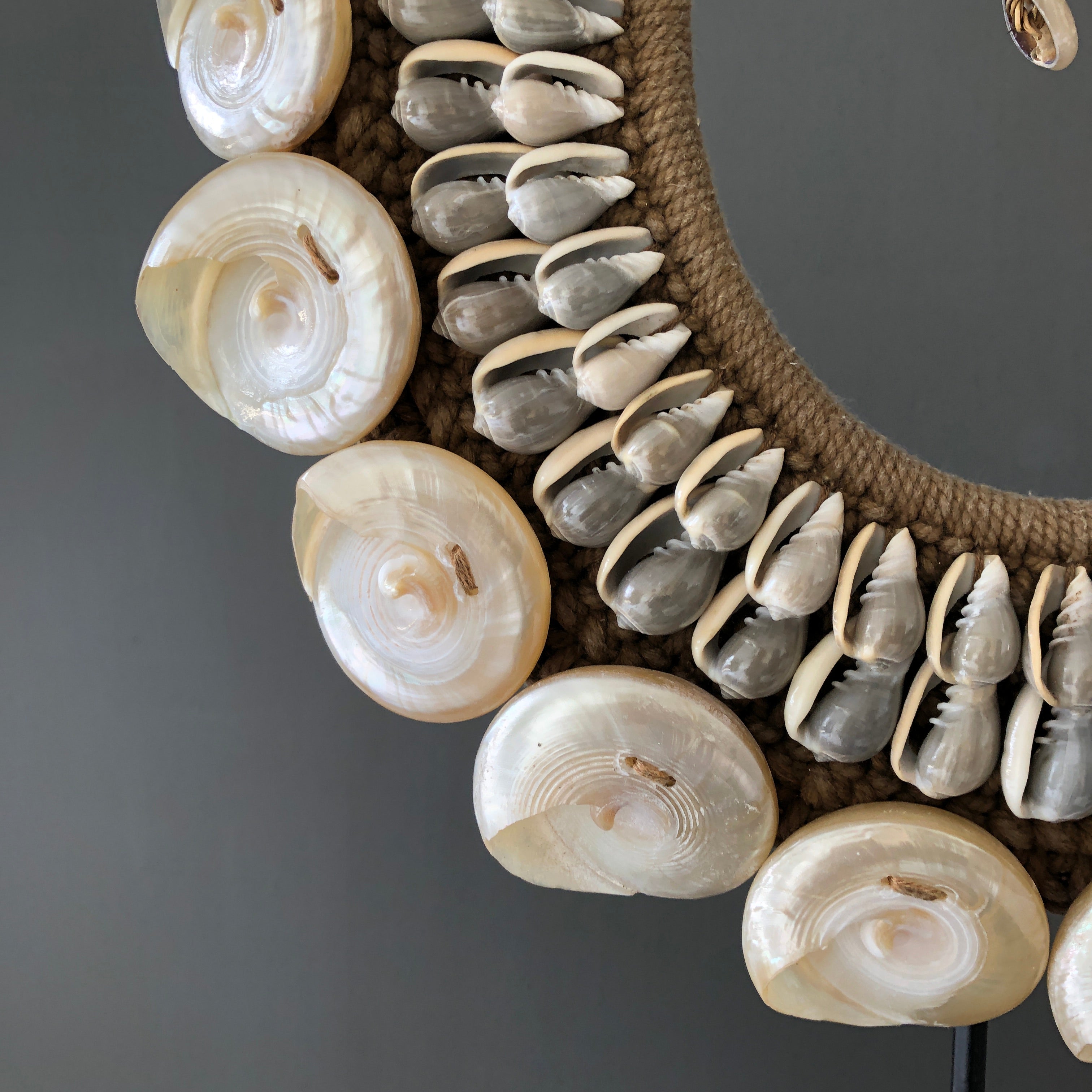 SN13 - Decorative shell necklace on a custom stand - 22/EX/362