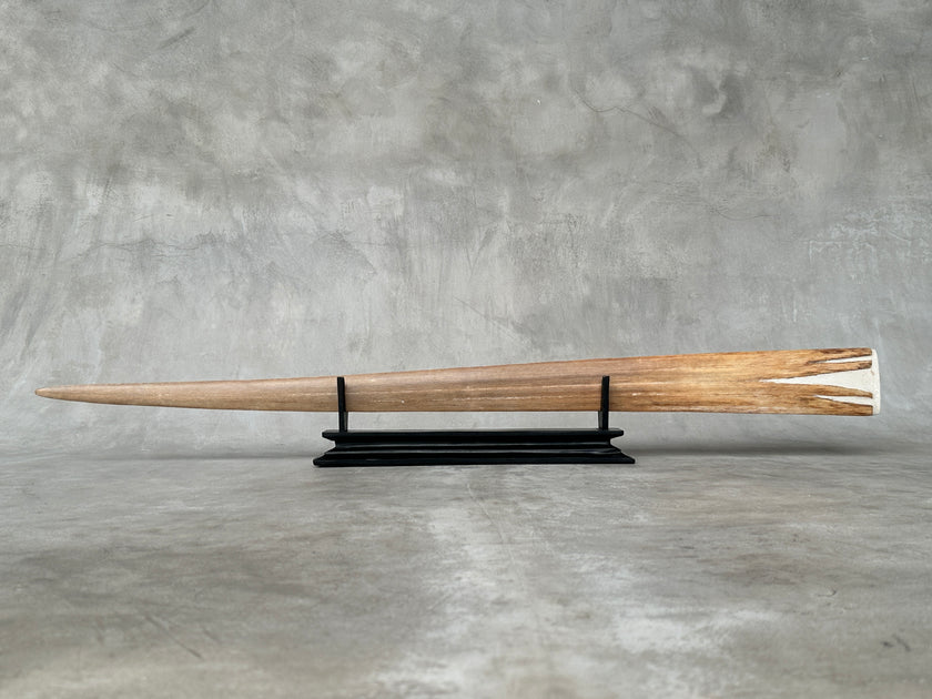 Swordfish - Horizontal Koi - Tusk,A/038