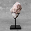 Beautiful Quartz Crystal cluster on a custom stand CC/593