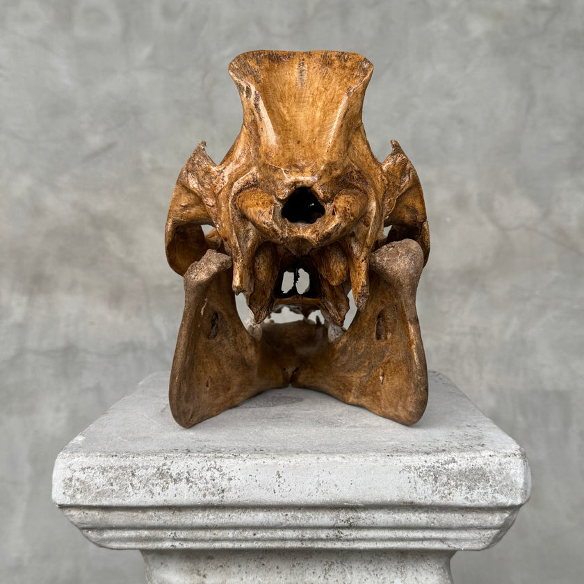 Swine Skull Tradball - Skull,A/063