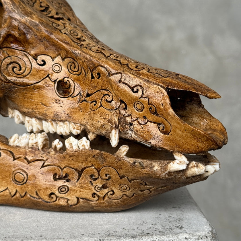 Swine Skull Tradball - Skull,A/063