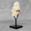 Beautiful Quartz Crystal cluster on a custom stand CC/595