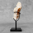 Beautiful Quartz Crystal cluster on a custom stand CC/595