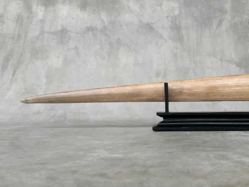 Swordfish - Horizontal Marine - Tusk,A/040