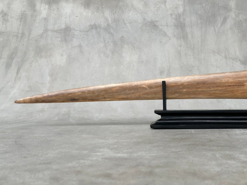 Swordfish - Horizontal Double Dragon  - Tusk,A/022