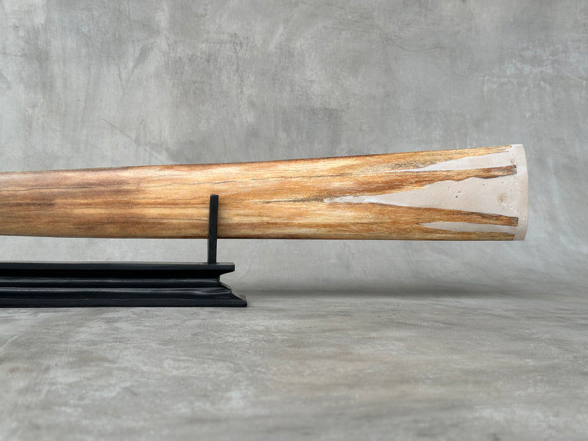 Swordfish - Horizontal Double Dragon  - Tusk,A/022