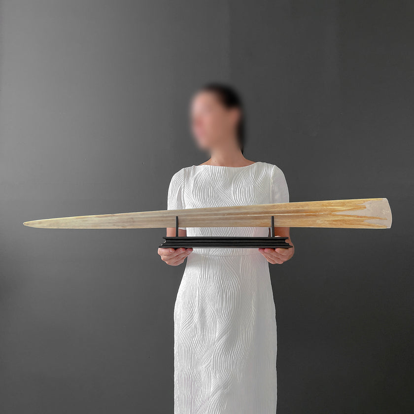 Carved Tusks 23/EX/007 Carving dragon phoenix