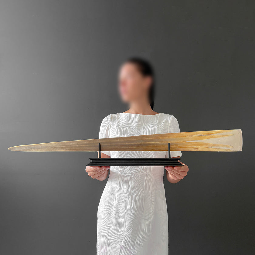 Carved Tusks 23/EX/008 Carving dragon phoenix