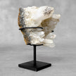 Beautiful Quartz Crystal cluster on a custom stand CC/599