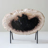 A Beautiful Slice of Petrified Palm Root on stand  PetW/056