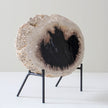 A Beautiful Slice of Petrified Palm Root on stand  PetW/049