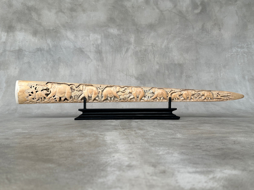 Swordfish - Horizontal Elephant - Tusk,A/032