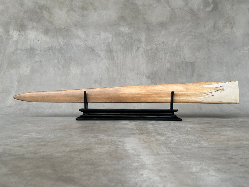 Swordfish - Horizontal Elephant - Tusk,A/032