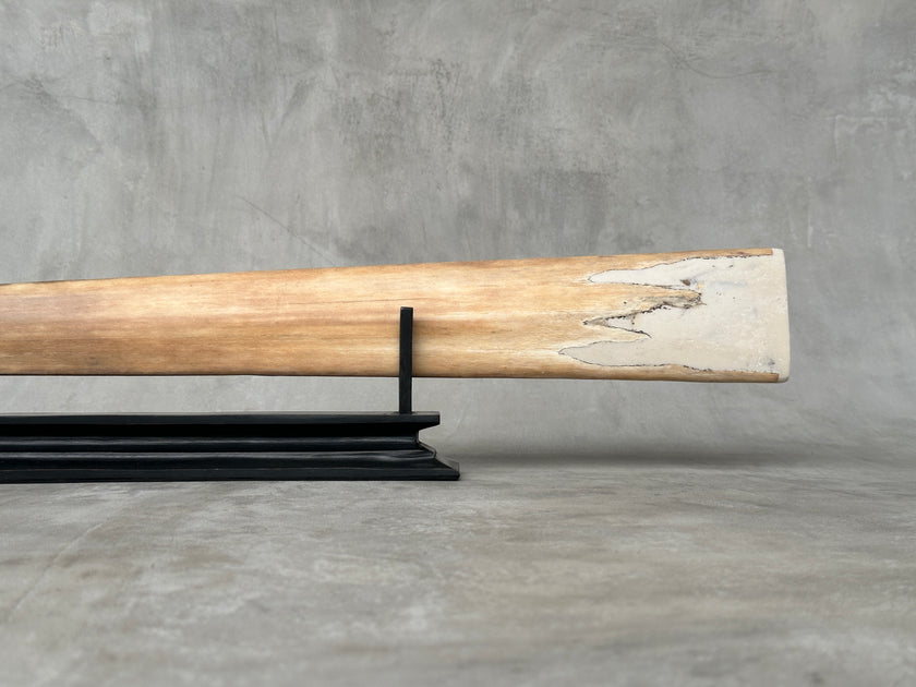 Swordfish - Horizontal Elephant - Tusk,A/032