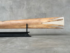 Swordfish - Horizontal Elephant - Tusk,A/030