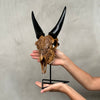 Brown Carved Goat Skull on Stand - Big Lotus Engraving – Unique Gothic Boho Home Decor, Rustic Wall Mount