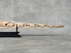 Swordfish - Horizontal Elephant - Tusk,A/031