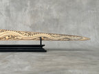 Swordfish - Horizontal Phoenix Dragon - Tusk,A/025