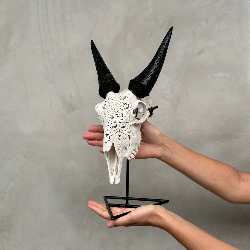 White Carved Goat Skull & Horns on Stand - Star Mandala Engravings – Unique Gothic Boho Home Decor, Rustic Wall Mount