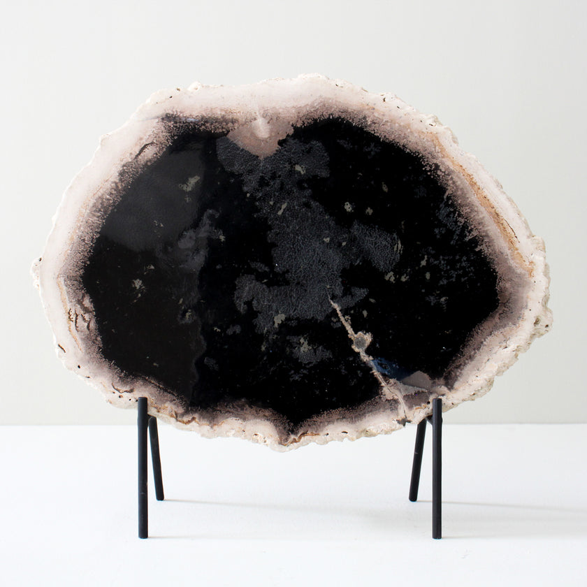 A Beautiful Slice of Petrified Palm Root on stand  PetW/081