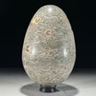 Egg Stone Turtitella-Z2/322