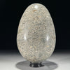 Egg Stone Turtitella-Z2/322