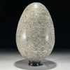 Egg Stone Turtitella-Z2/322