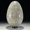 Egg Stone Turtitella-Z2/322