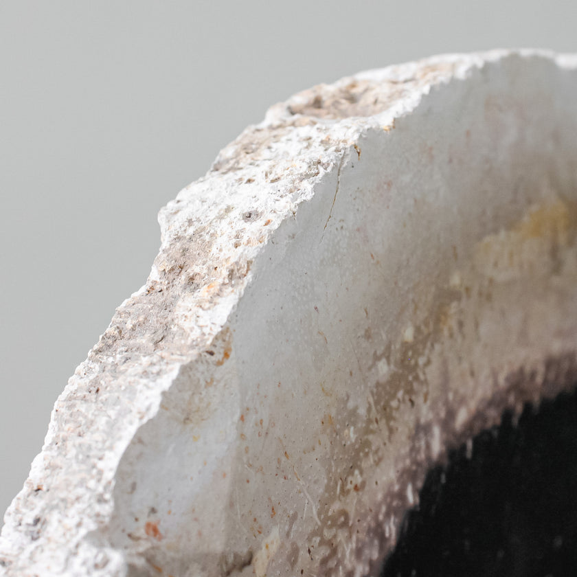 A Beautiful Slice of Petrified Palm Root on stand  PetW/085