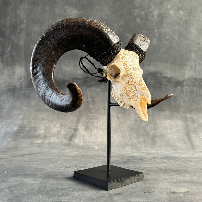 Ram’s Skull Big Lotus - Skull,A/064