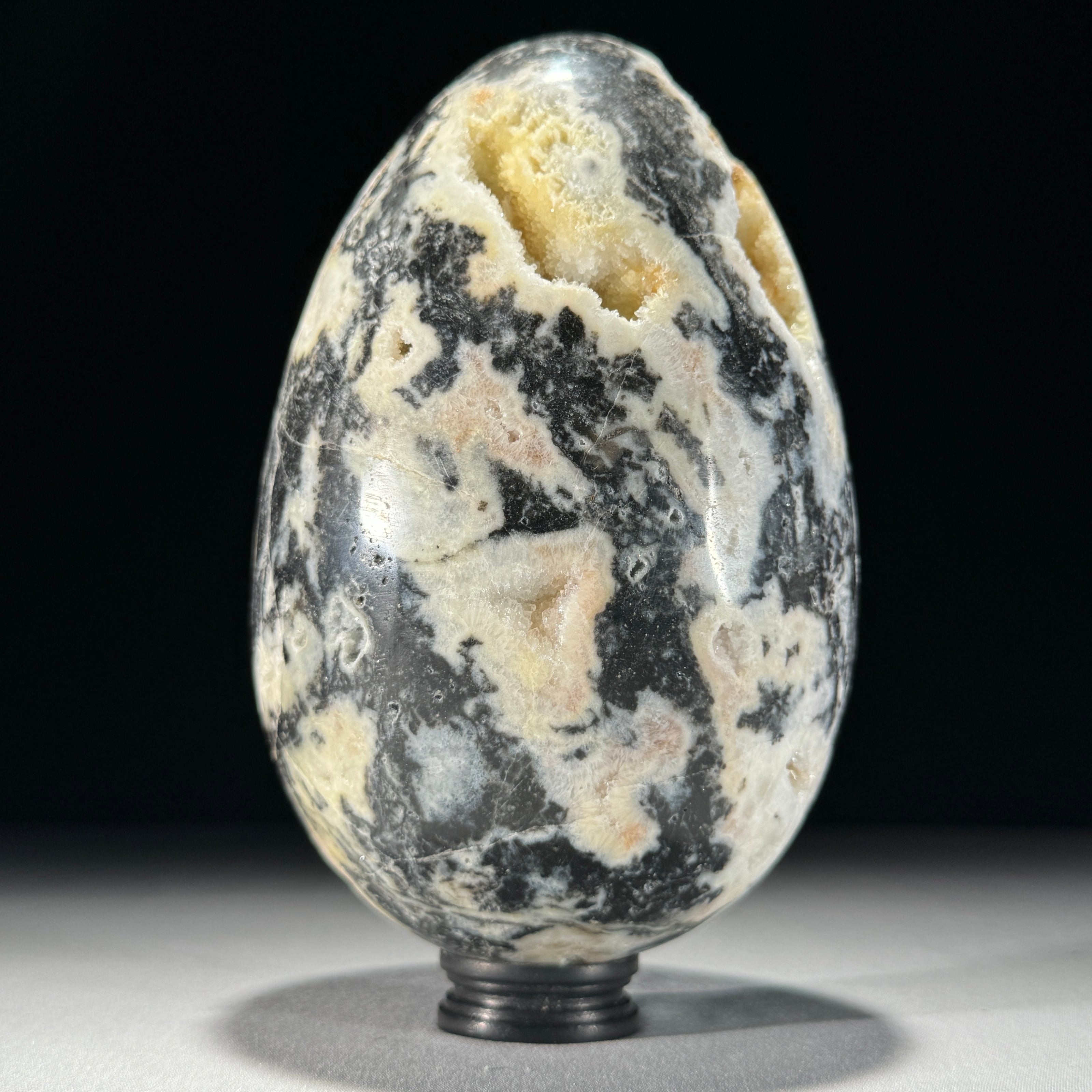 Crystal egg zebra-Z2/324