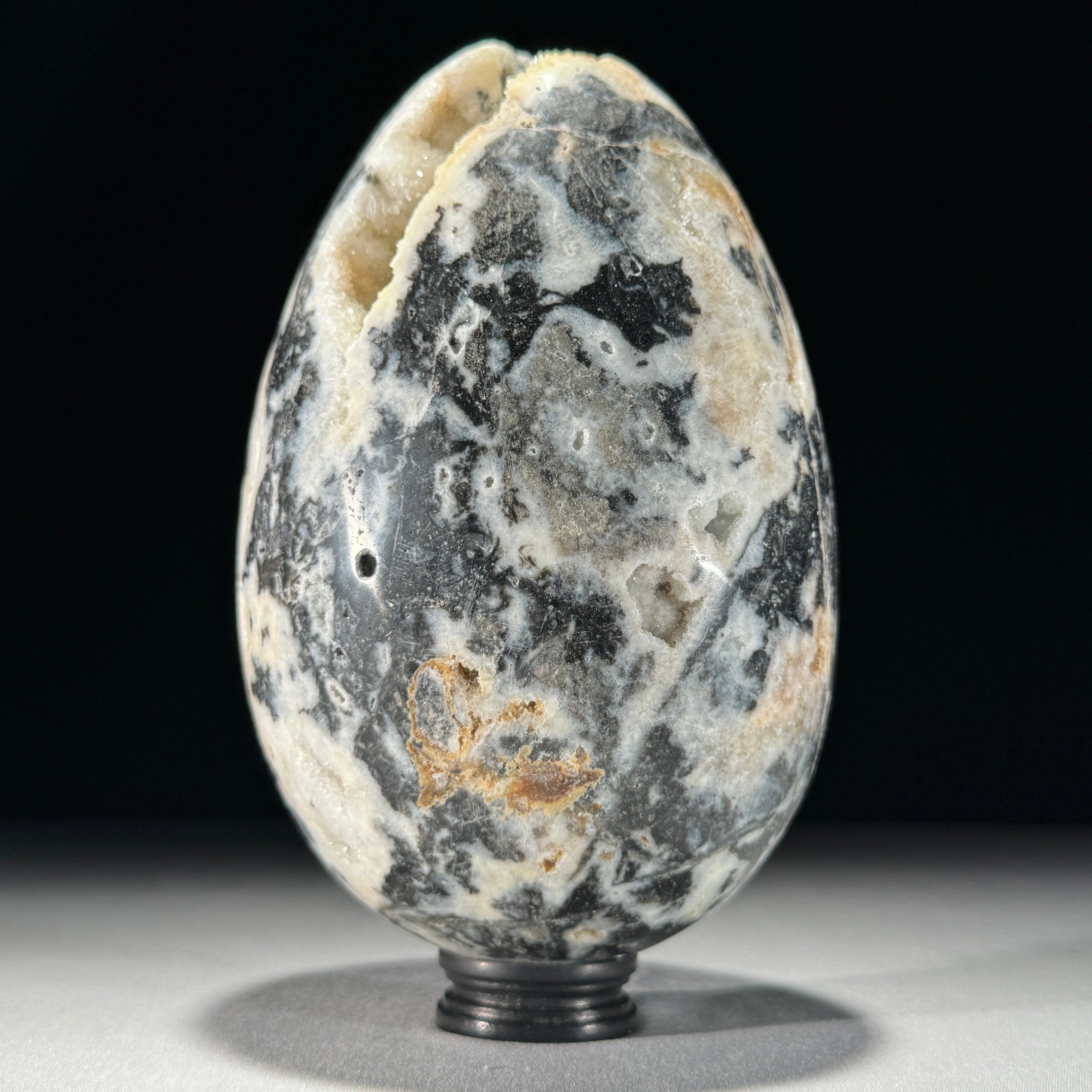 Crystal egg zebra-Z2/324