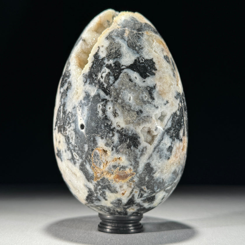 Crystal egg zebra-Z2/324