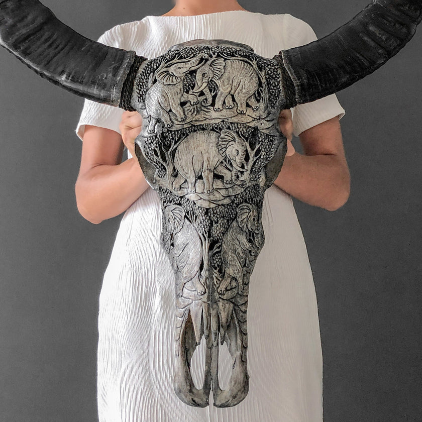 Real Carved Buffalo Skull 22/EX/274