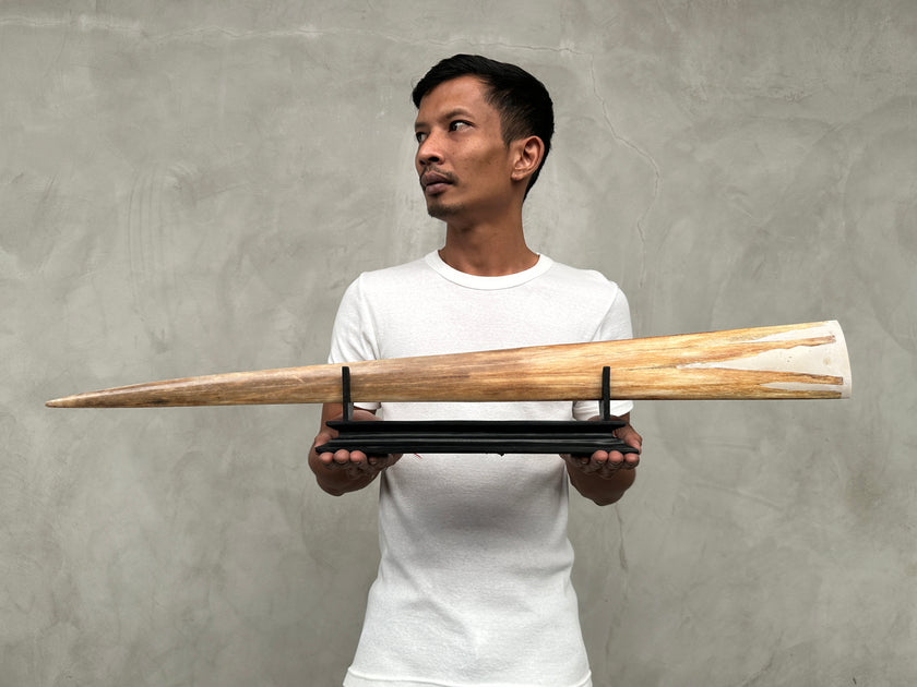 Swordfish - Horizontal Double Dragon  - Tusk,A/022