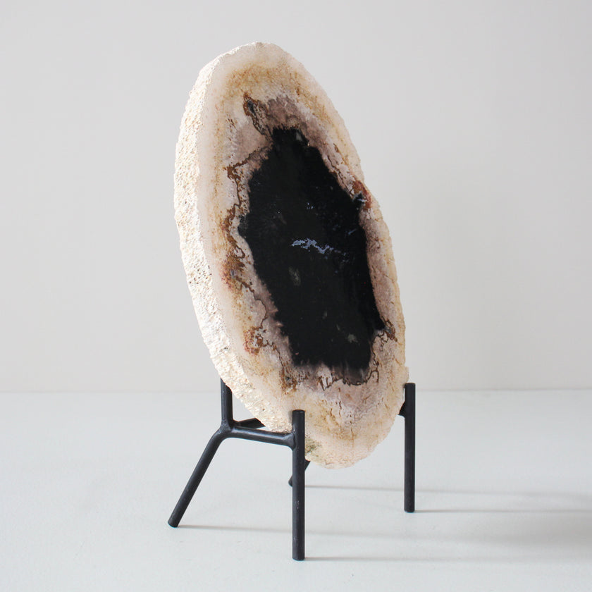 A Beautiful Slice of Petrified Palm Root on stand  PetW/076