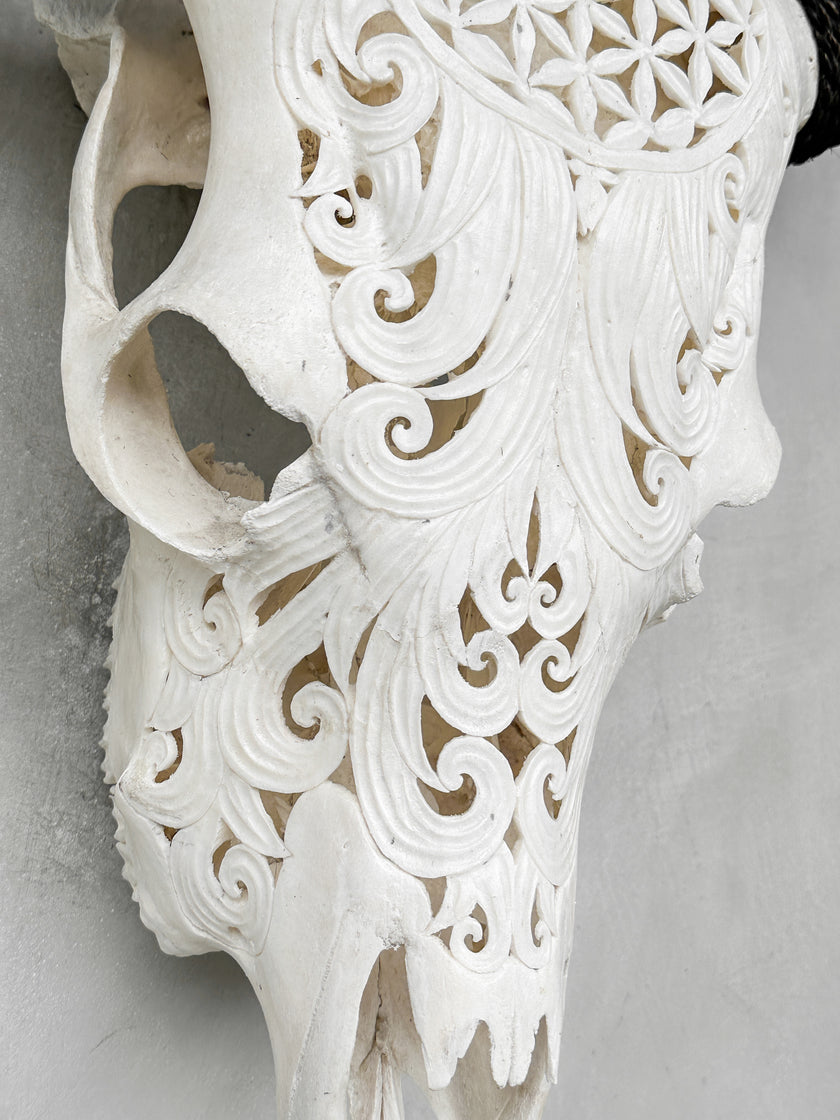 Fully carved cow skulls with Flower Of life Carving Skull,A/080