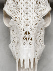White Carved Buffalo Skulls with Infinity motif | Skull,A/103
