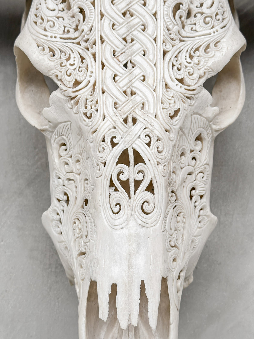 White Carved Buffalo Skulls with Infinity motif | Skull,A/103