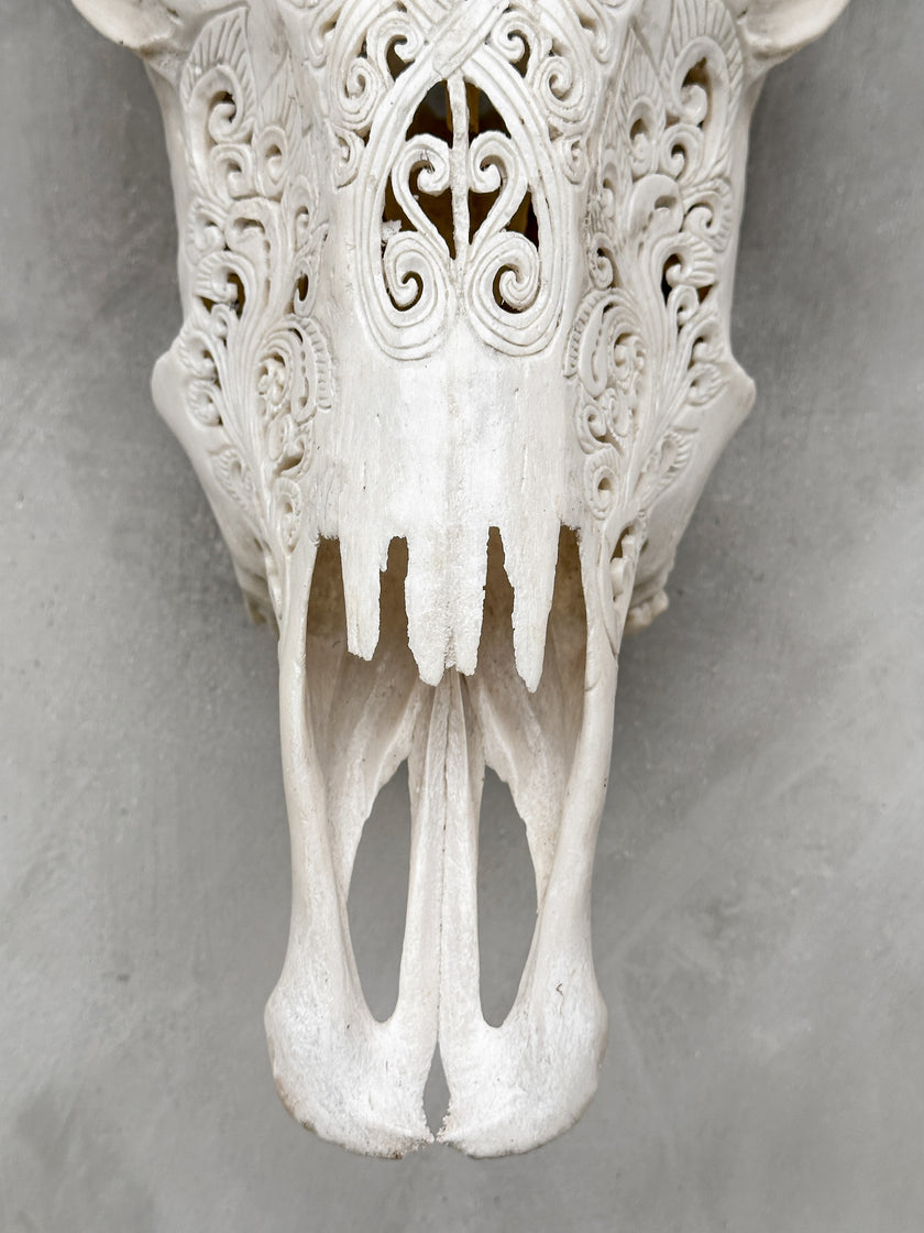 White Carved Buffalo Skulls with Infinity motif | Skull,A/103