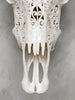 White Carved Buffalo Skulls with Infinity motif | Skull,A/103