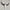 White Carved Buffalo Skulls with Infinity motif | Skull,A/103