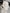 White Carved Buffalo Skulls with Infinity motif | Skull,A/103