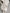 White Carved Buffalo Skulls with Infinity motif | Skull,A/103