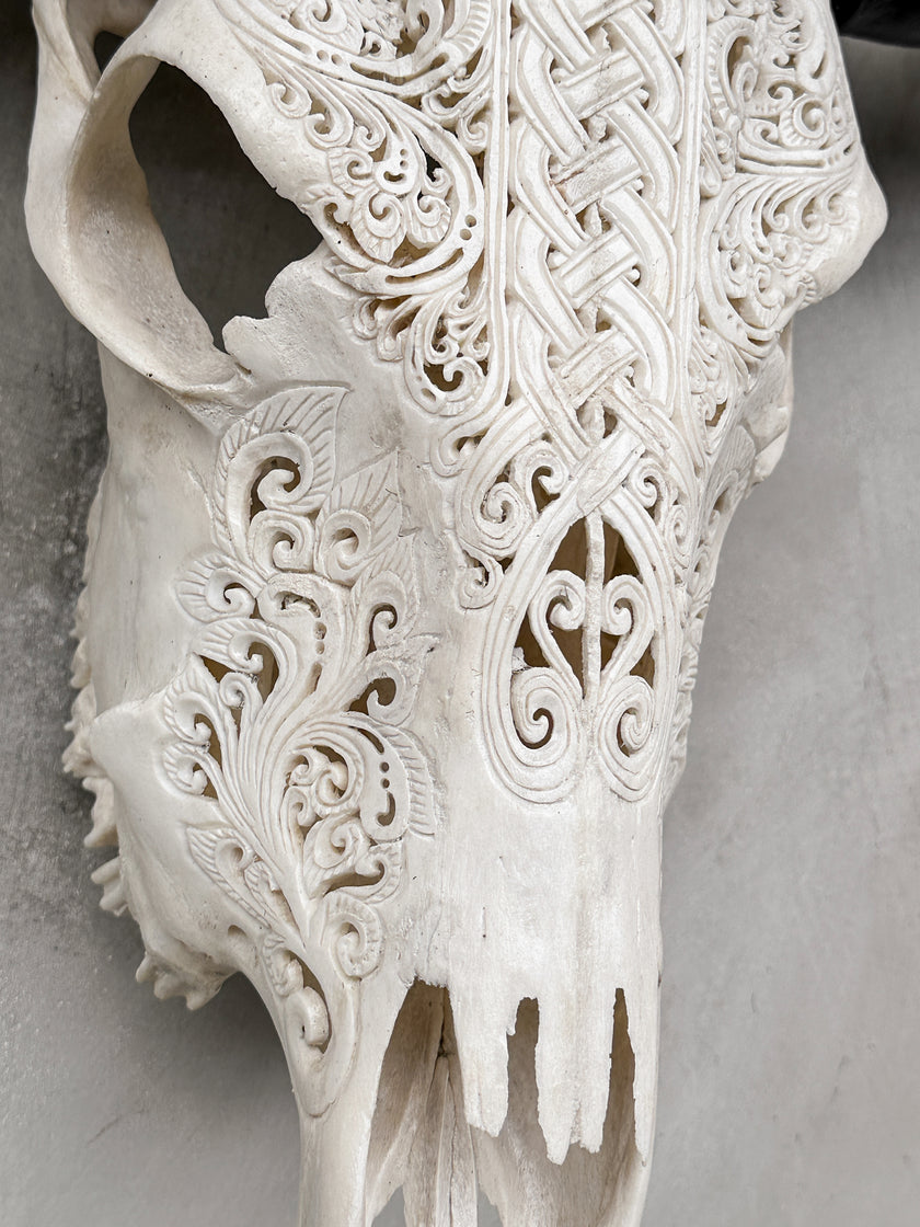 White Carved Buffalo Skulls with Infinity motif | Skull,A/103
