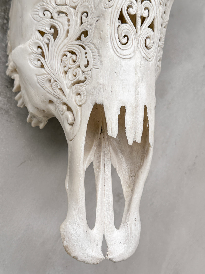 White Carved Buffalo Skulls with Infinity motif | Skull,A/103