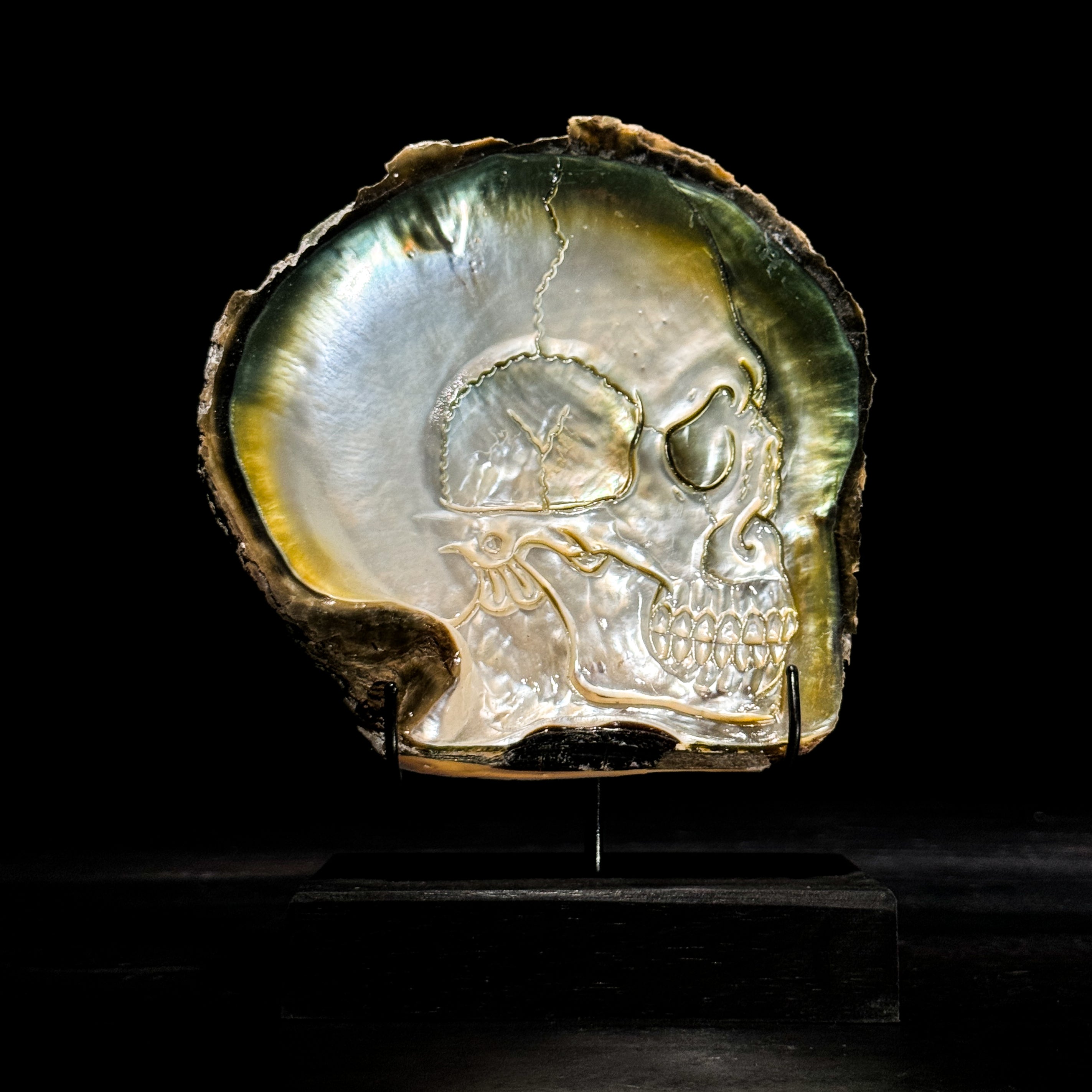 Carved Mother of Pearl Shells Human skull Carving ToS,A/030
