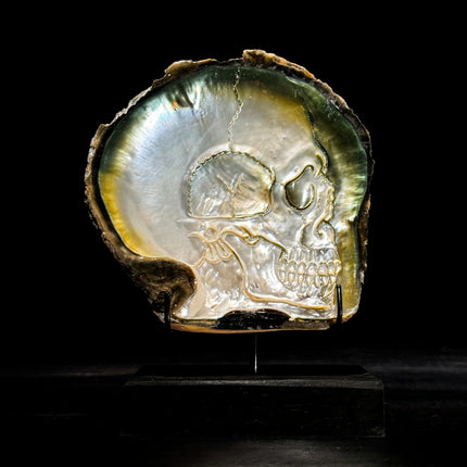 Hand-Carved Human Skull on Mother of Pearl Shell – Gothic Decor Sculpture – Iridescent Shell Art with Stand - ToS,A/030