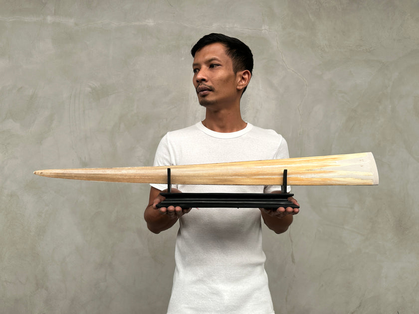 Swordfish - Horizontal Phoenix Dragon - Tusk,A/024