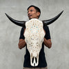 Bull Skull Carved Merak - Skull,A/050